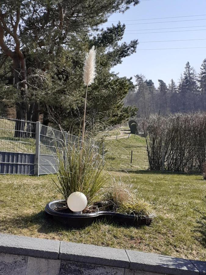 Ferienwohnung Am Wald Catterfeld Eksteriør bilde